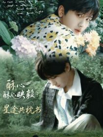酥心映毅：星途共枕书