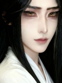 二哈和他的白猫师尊番外