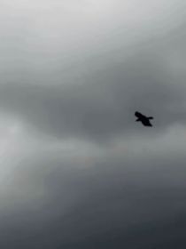 好夢(mèng)（gts）