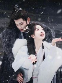 山河枕：雁字回时