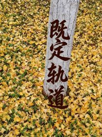 萌学园之既定轨道