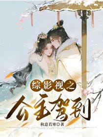 综影视之公主驾到