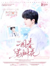 TNT：一園春滿樹花