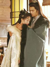 山河枕：雁字回時