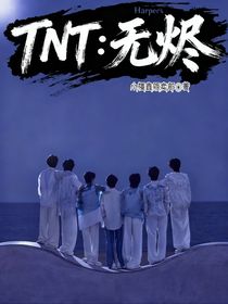 TNT：无烬