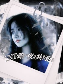 TNT：暗夜共犯