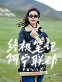 终极笔记阿宁联动