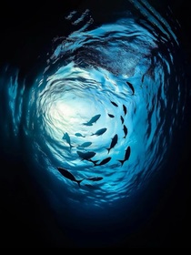 宿主，副本即將崩塌