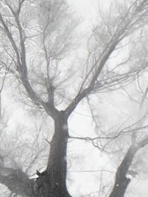 桂瑞一家三口日常