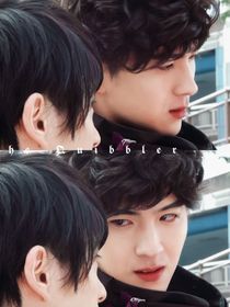 假面骑士：爱与和平