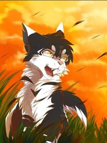 新的族群：第七章