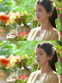 暗河传：花辞镜