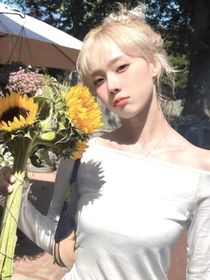 登陆日：不限定花期