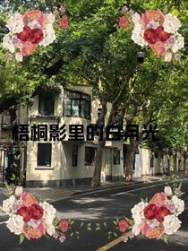 梧桐影里的白月光