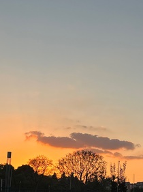 作者日常！