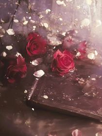 王牌部队之爱人相守