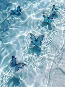 美人魚(yú)嗎？有點(diǎn)意思