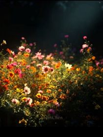 夢(mèng)人間的奇思妙想