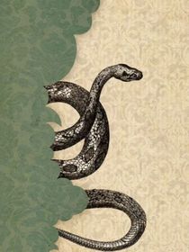 Hp：霍格沃茨那些破事兒