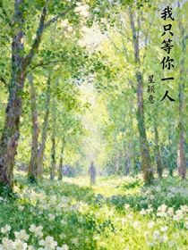 我只等你一人