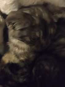 一名手残党的画画手工日常