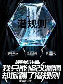 規(guī)則修補(bǔ)師：我只能修改漏洞，卻掀翻了潛規(guī)則