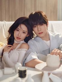 总裁的闪婚妻子小说