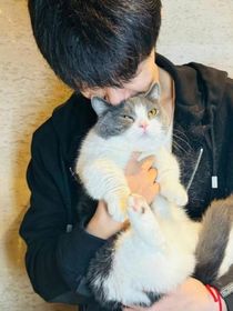 林子烨：自家小猫不好哄