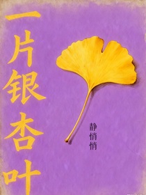 一片銀杏葉o