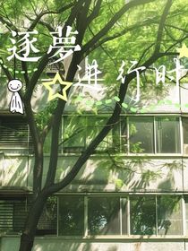 逐夢進(jìn)行時