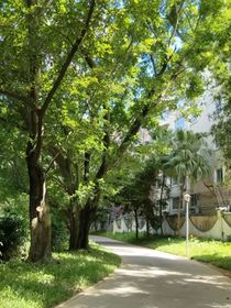 学霸和学神又杠上了