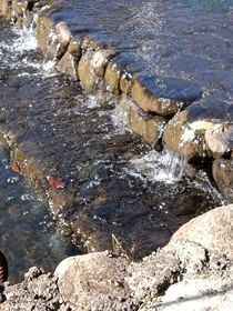 作者的專(zhuān)屬公告欄