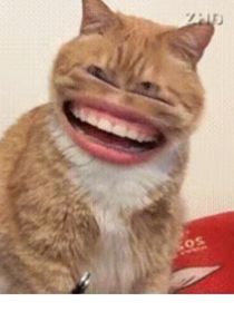 重生小学之反派的我