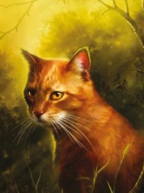 猫武士之假如剧情是这样