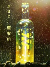 TNT：重案組