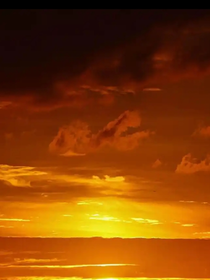 復(fù)函：海棠依舊笑春風(fēng)