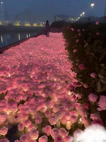 斗龍戰(zhàn)士七：黑化