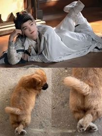 综影视之神女曦音