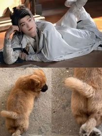 综影视之神女曦音