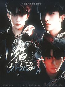 黄子弘凡：小猫处处留情