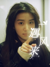 去有风的地方：一遇风来