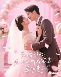 離婚當(dāng)天，死對頭叫我寶寶