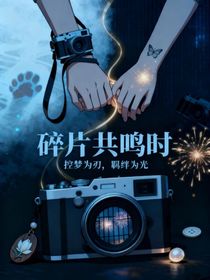 碎片共鳴時(shí)