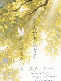 穿成稻米闯古墓