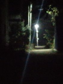 那個夏天……蟬鳴