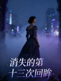 消失的第十三次回眸