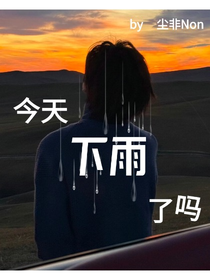 今天下雨了吗？