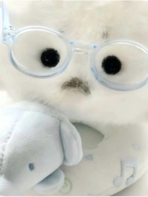 世俗的偏見與二人未捅破的窗戶紙