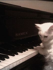 随心所记——来源于生活