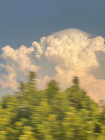 书名正在修改1763268586093735106